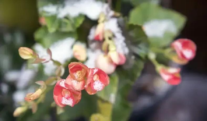 婚姻里最扎心的事儿，就是你一味付出，他却越来越不当回事。2025年数据显示，女性