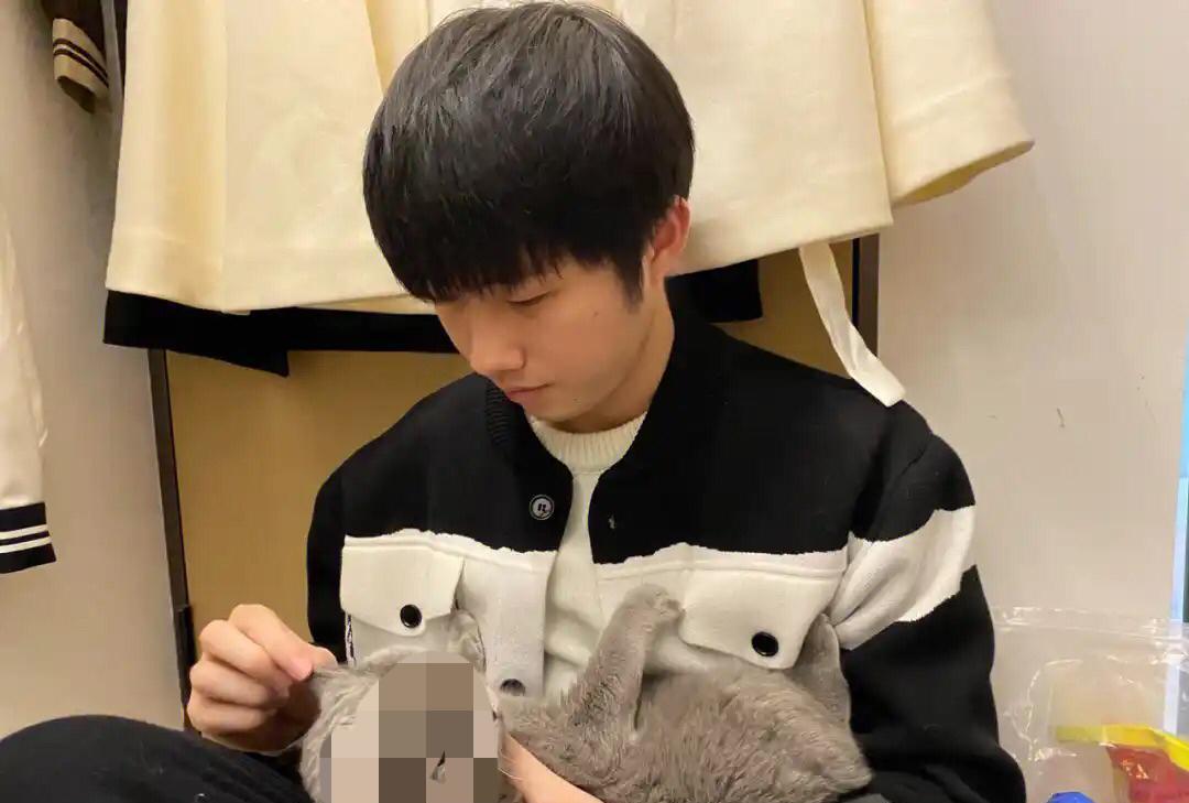 杭州这波养狗新规，让养狗人直挠头——白天不让溜，大型犬基本不让出门了，商场不让进
