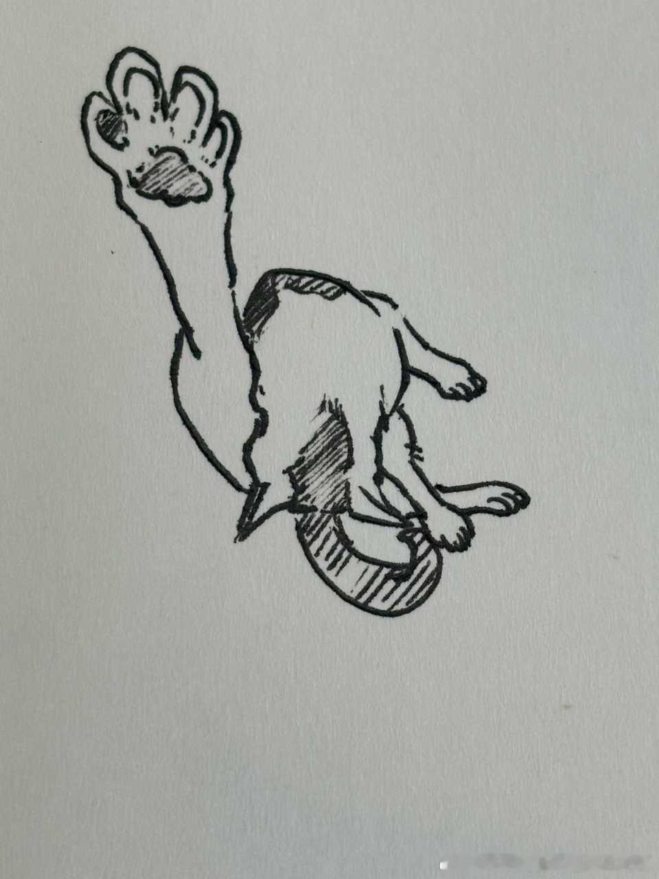 49325【丑猫】老师我有问题🙋♀️