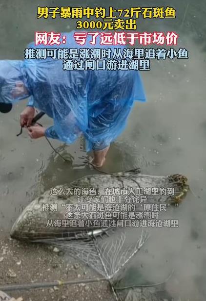 赚大发了！6月17日，福建，男子钓鱼感觉拉力很大，以为是条大鱼！结果，当他拉上岸