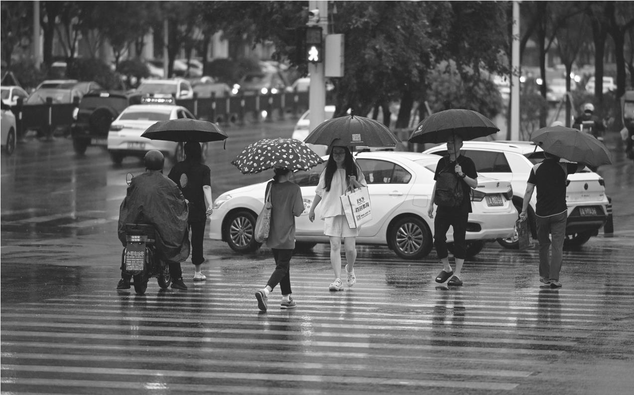 今夏多雨, 雨带真的北移了吗?