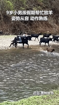 这孩子火上人民日报了！近日贵州毕节，一段9岁男孩假期帮父母放羊，男孩坐在羊上从容
