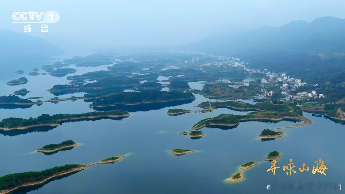湖北这种鸭子的肉质能比肩牛肉美食界的新晋黑马！这款鸭肉肌理如牛肉般分明，咀嚼时