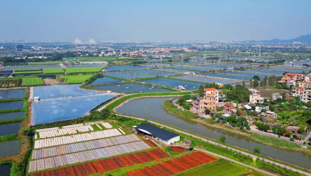 【南沙十个镇街2026年立flag：榄核镇打造大湾区独具魅力的水经济示范区】南沙