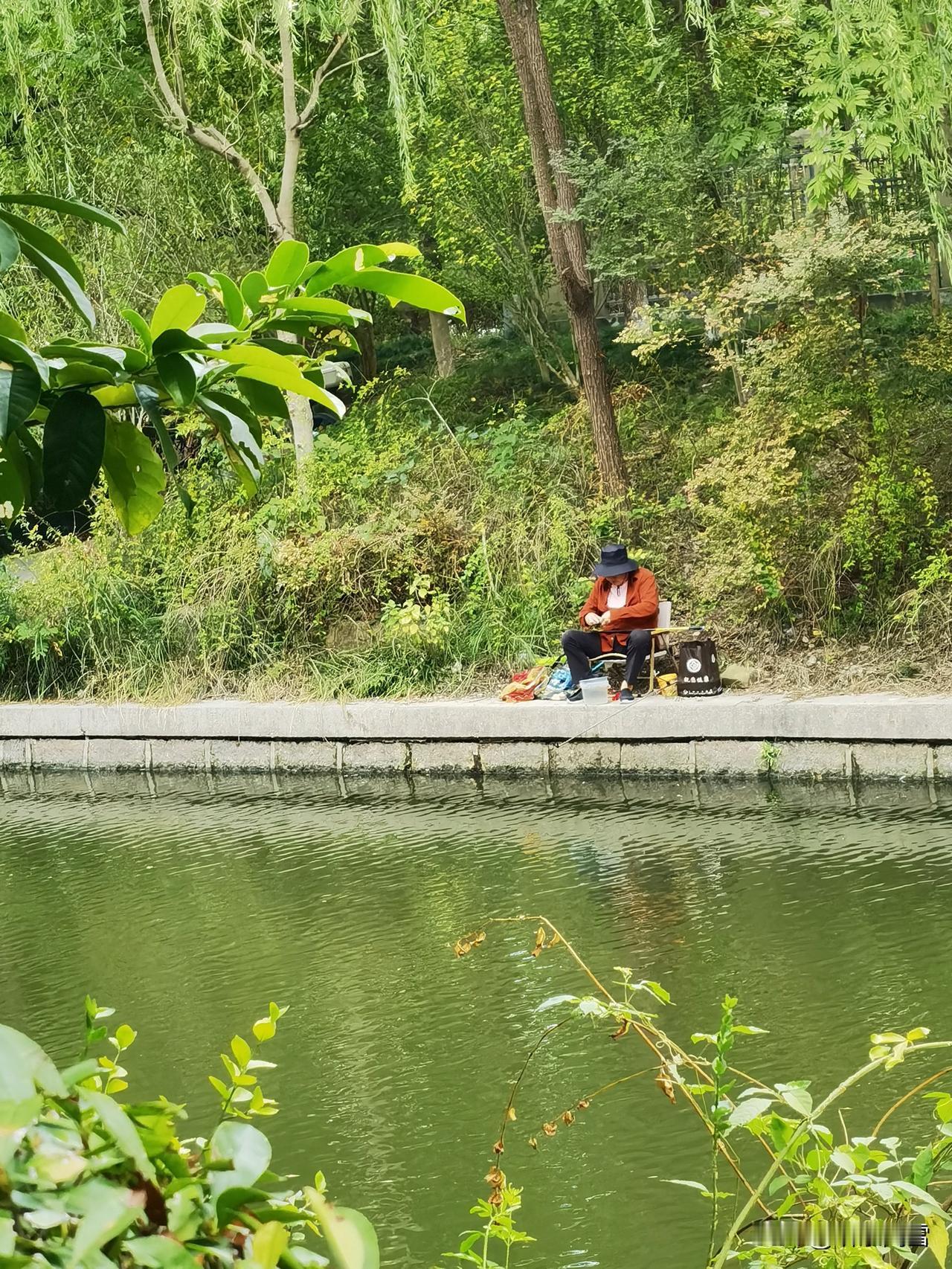初冬的南方，新开河畔的樟树、银杏树偶有枯叶飘落。一位身穿砖红外套的钓鱼人，身影格
