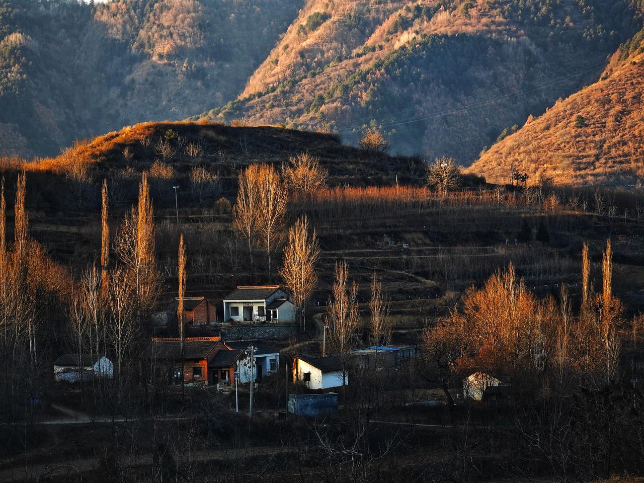 风已经有了冬天的味道＃我用摄影看世界＃我的摄影日记