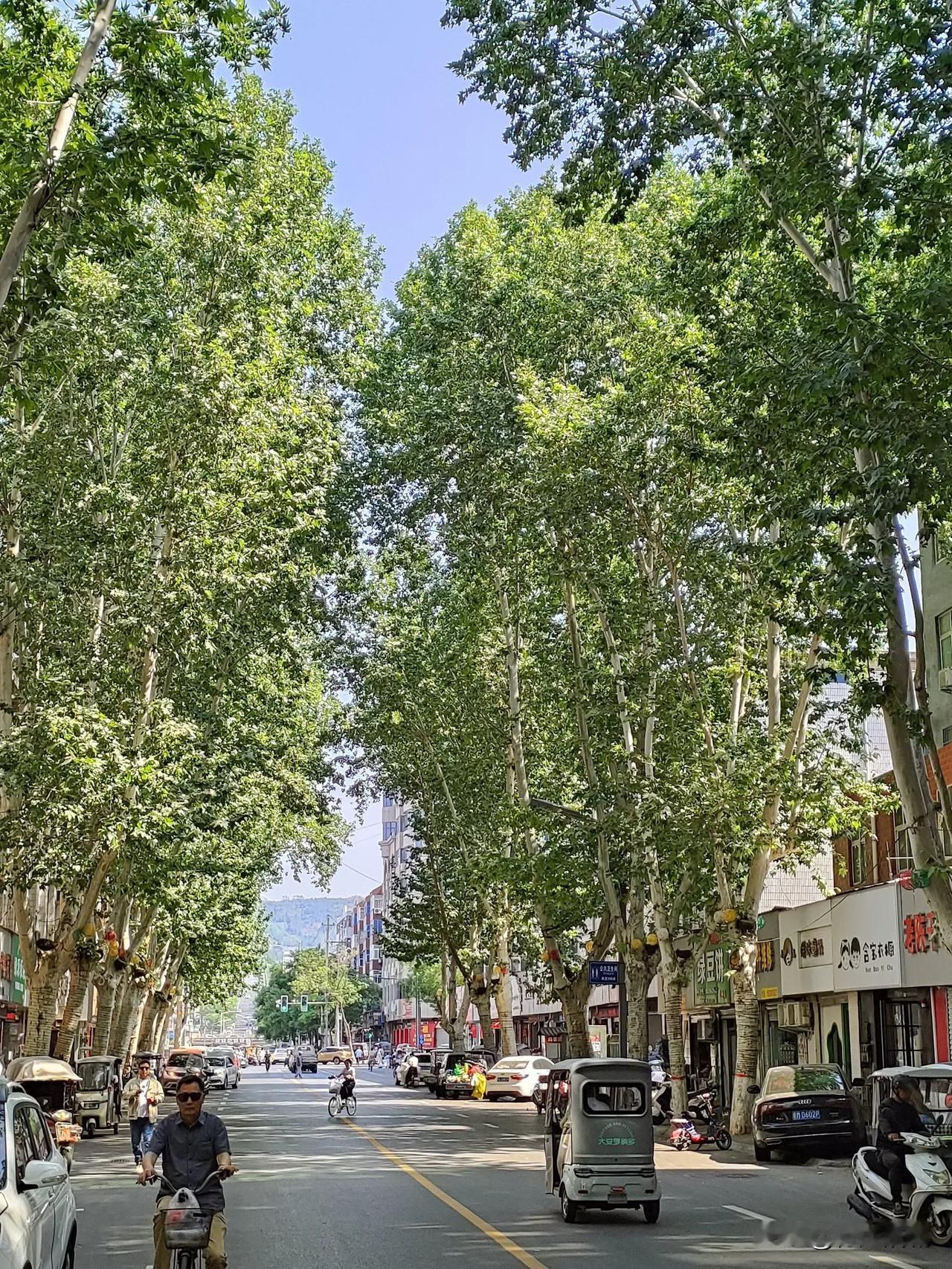 洛阳偃师的槐新路，偃师老商业中心，这里有偃师的百货大楼，站在街上就可以看到虎头山