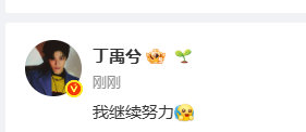丁禹兮发文我继续努力丁禹兮发文我继续努力
