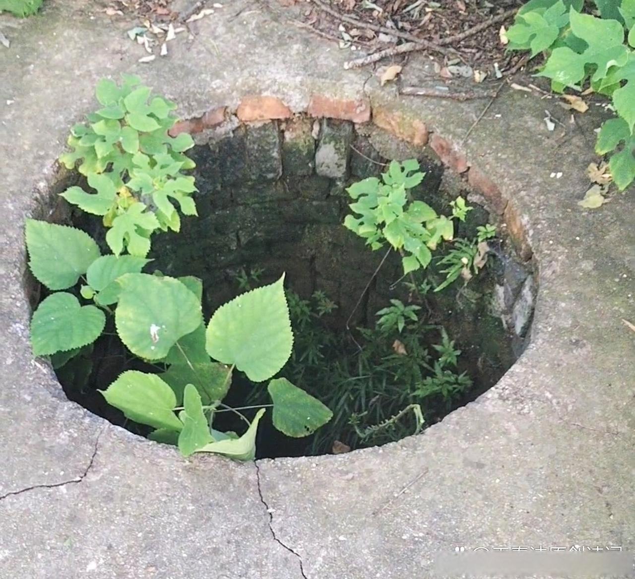 我有个特别好的哥们儿，他身上发生了一连串怪事儿。凡是欺负过他、骗过他或是对他不好