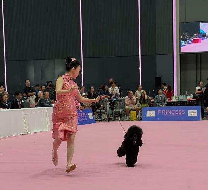 估计杜江这辈子都不会想和霍思燕离婚的吧