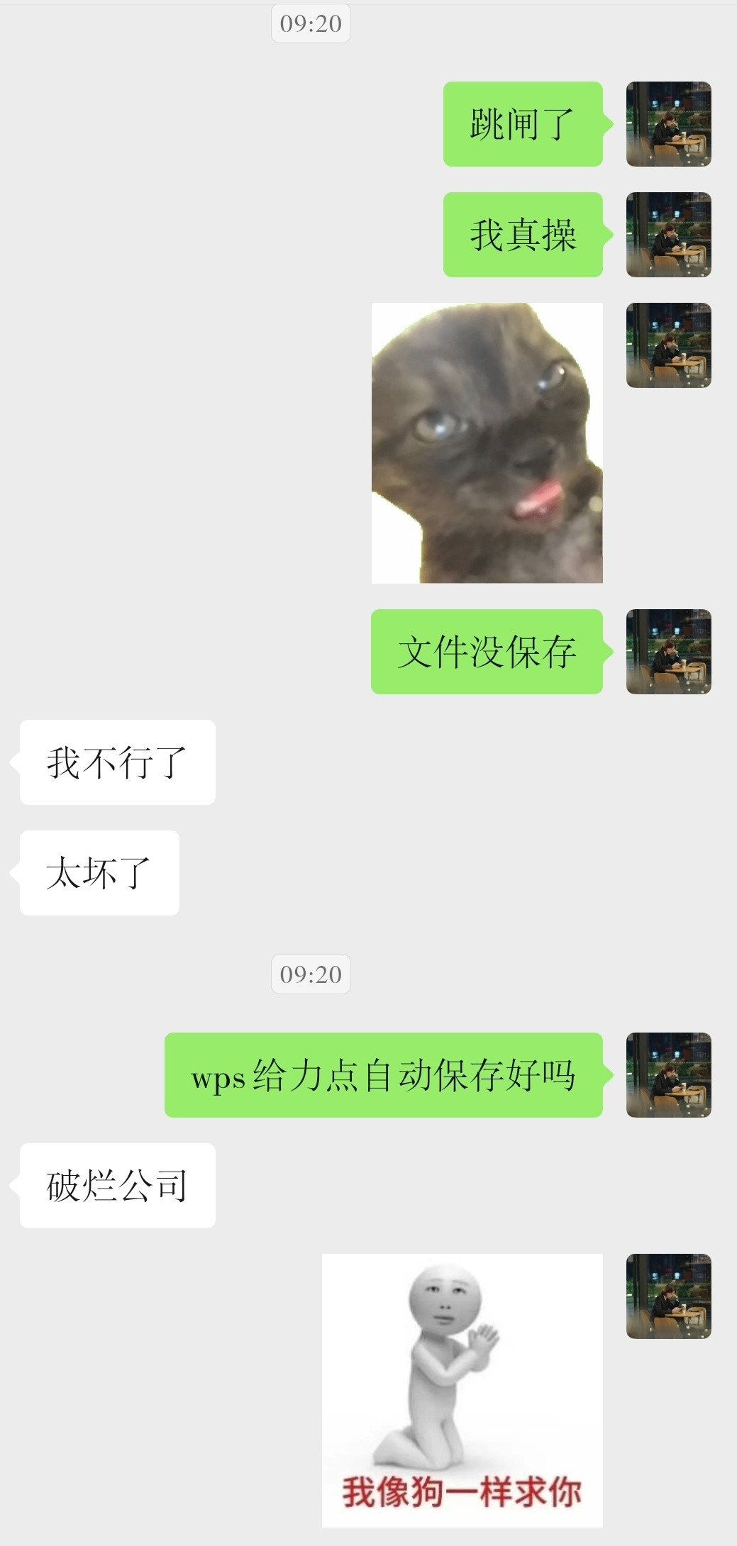 wps我像狗一样求你
