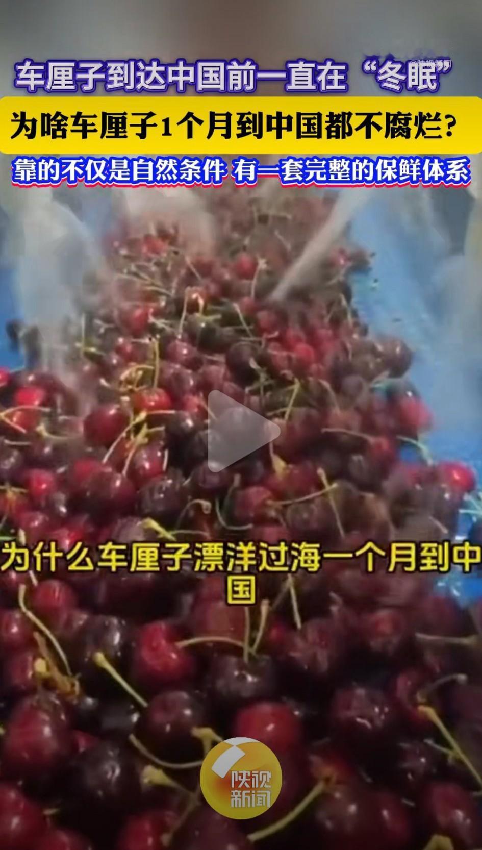 车厘子“漂洋过海”不腐的秘密，你知道吗？今日热推家人们，一年一度的车厘