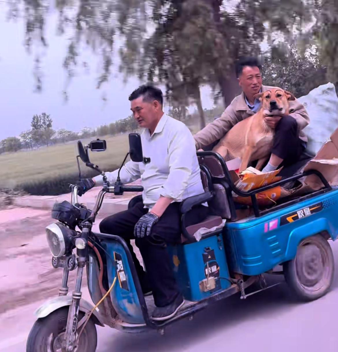 大衣哥单手骑三轮车风驰电掣，还拉着狗，这一幕朴素贴地，但搂着狗的人才是大衣哥的“