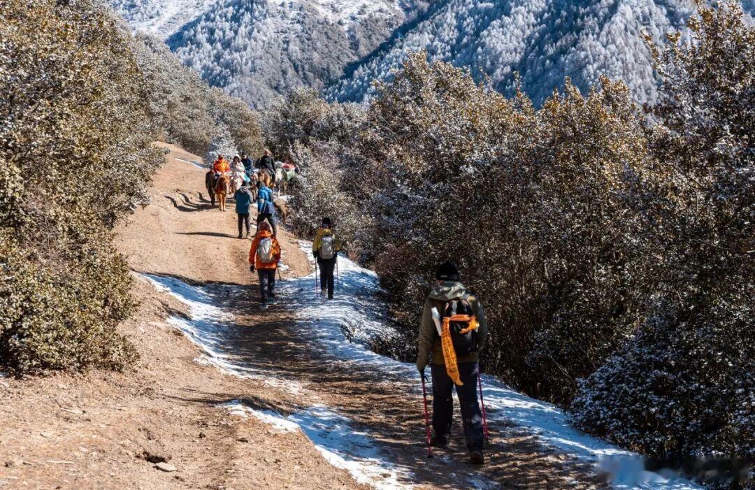 徒步党岭，望雪山巍峨，赴一场山野秋梦～​​​