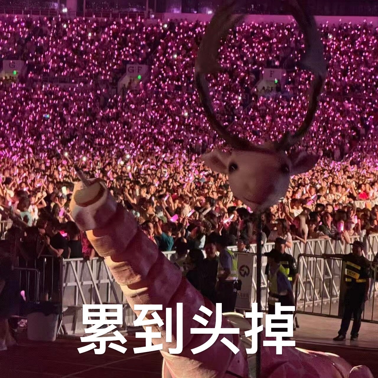 笑死了