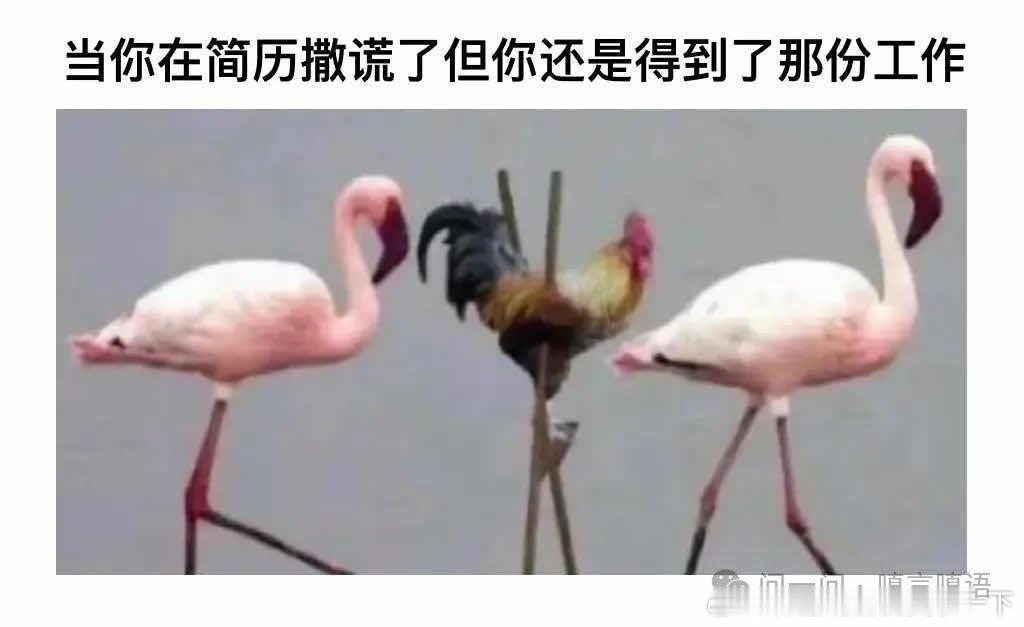 4968哈哈哈形象​​​
