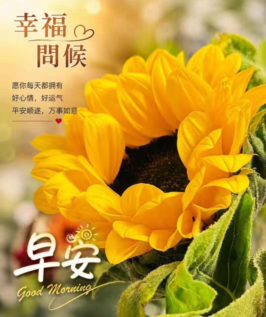 你有多久没在早上醒来，收到一句踏踏实实的“早安”了？今早去楼下买豆浆，早餐摊