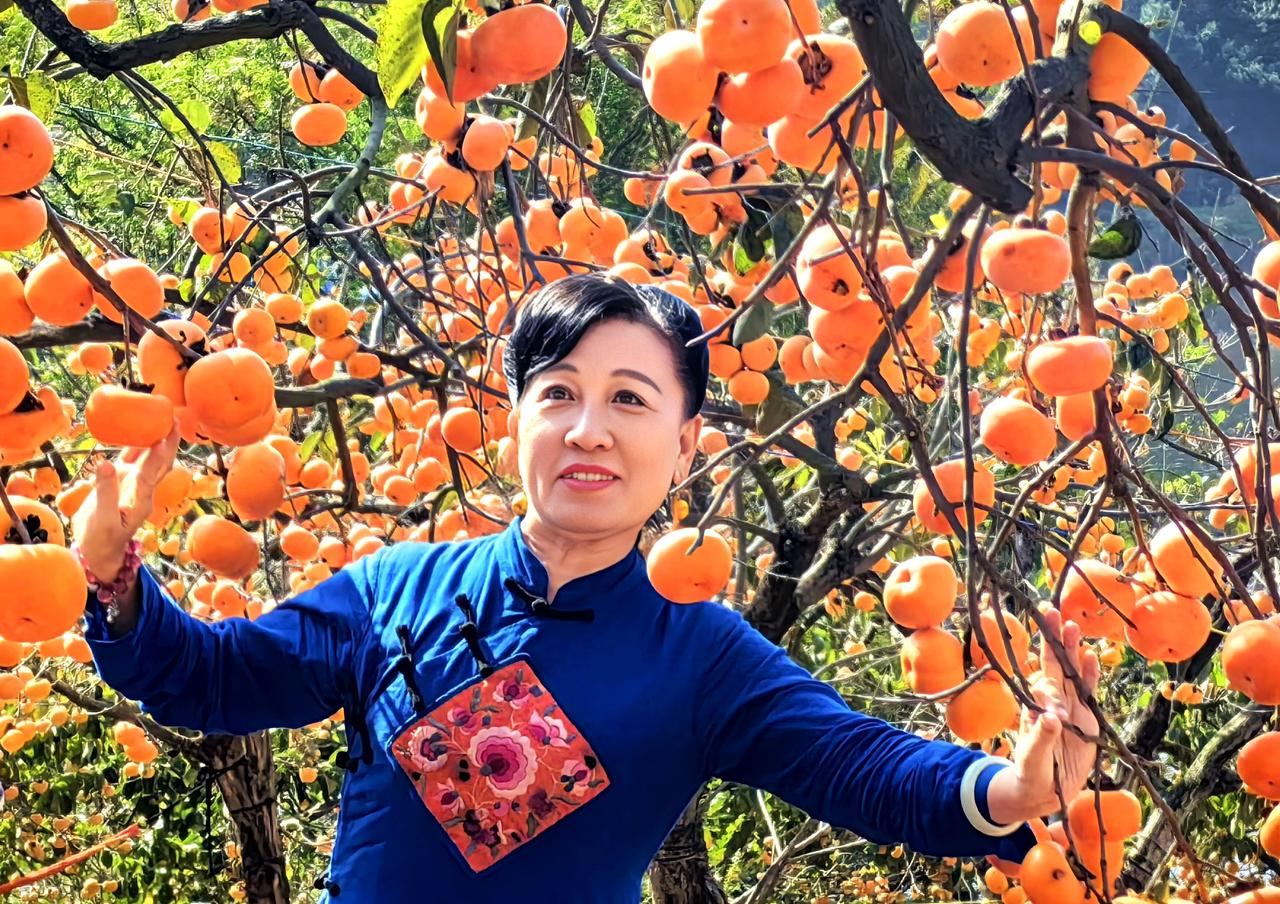 柿柿如意广西平乐：18万亩柿子喜获丰收冬日时节，广西桂林市平乐