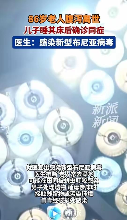 浙江86岁老人被蜱虫咬后离世儿子睡亡母床被传染：浙江陈先生86岁母亲常打理菜地