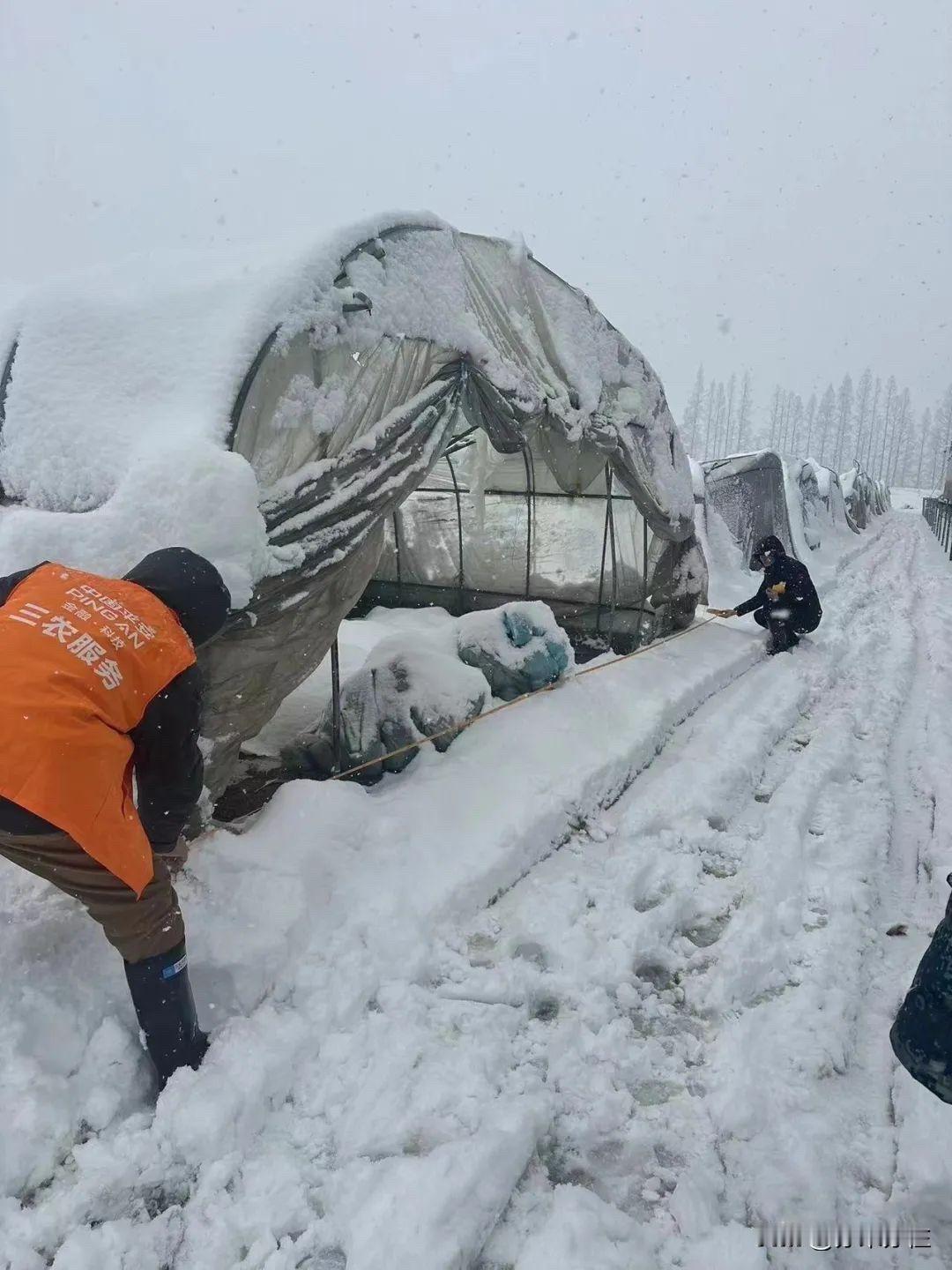 还记得么？2008年南方爆发了一场史无前例的，影响广泛的极端自然灾害。200