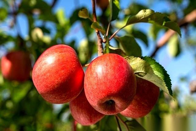 降了100万，房东哭得死去活来。可你知道他这套房的成本吗？190万。现在就算