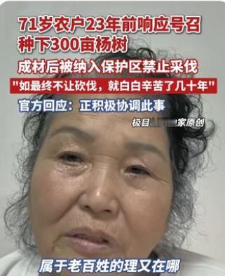 23年，花了100多万，种了300亩杨树，从48岁熬到了71岁，眼看成材，等来的