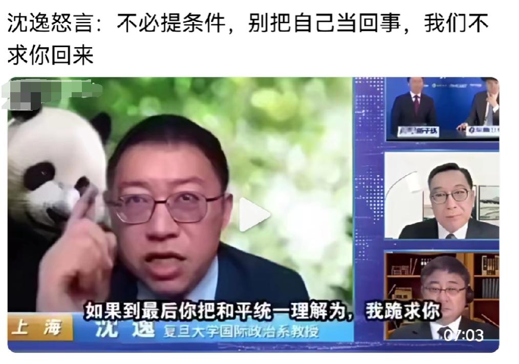 沈逸教授怒言警告台湾某些人，不必提条件，别太把自己当回事了，我们不会跪求你们回来