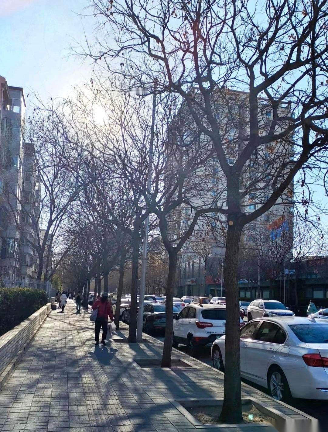 1月8号。记住这个日子。老天爷准备跟我们所有人算总账了。别以为现在这点小风