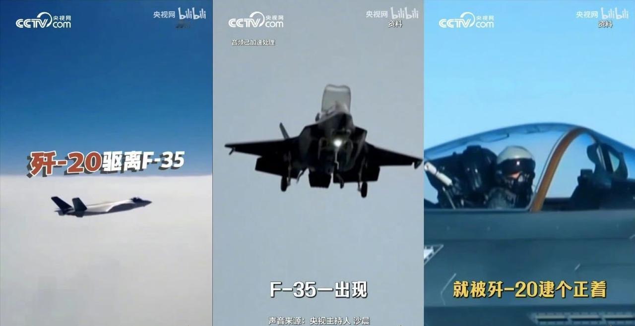 都说以史为鉴，可有些道理，非要等到现实打脸才看得明白。最近《惊蛰无声》热映