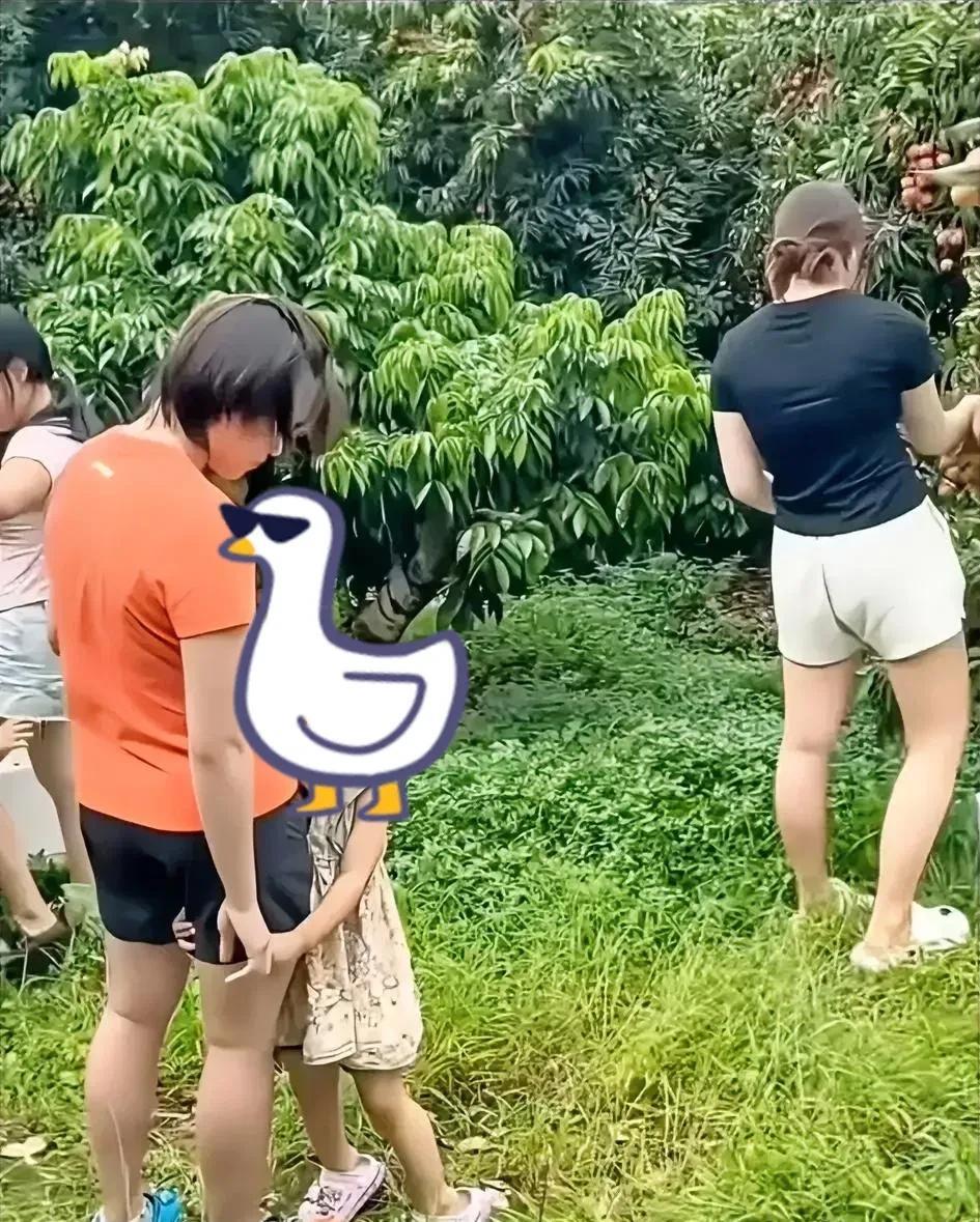 有个事一直不敢说，但还是得说出来，今后全红蝉的跳水生涯是不是结束了？偶然刷到
