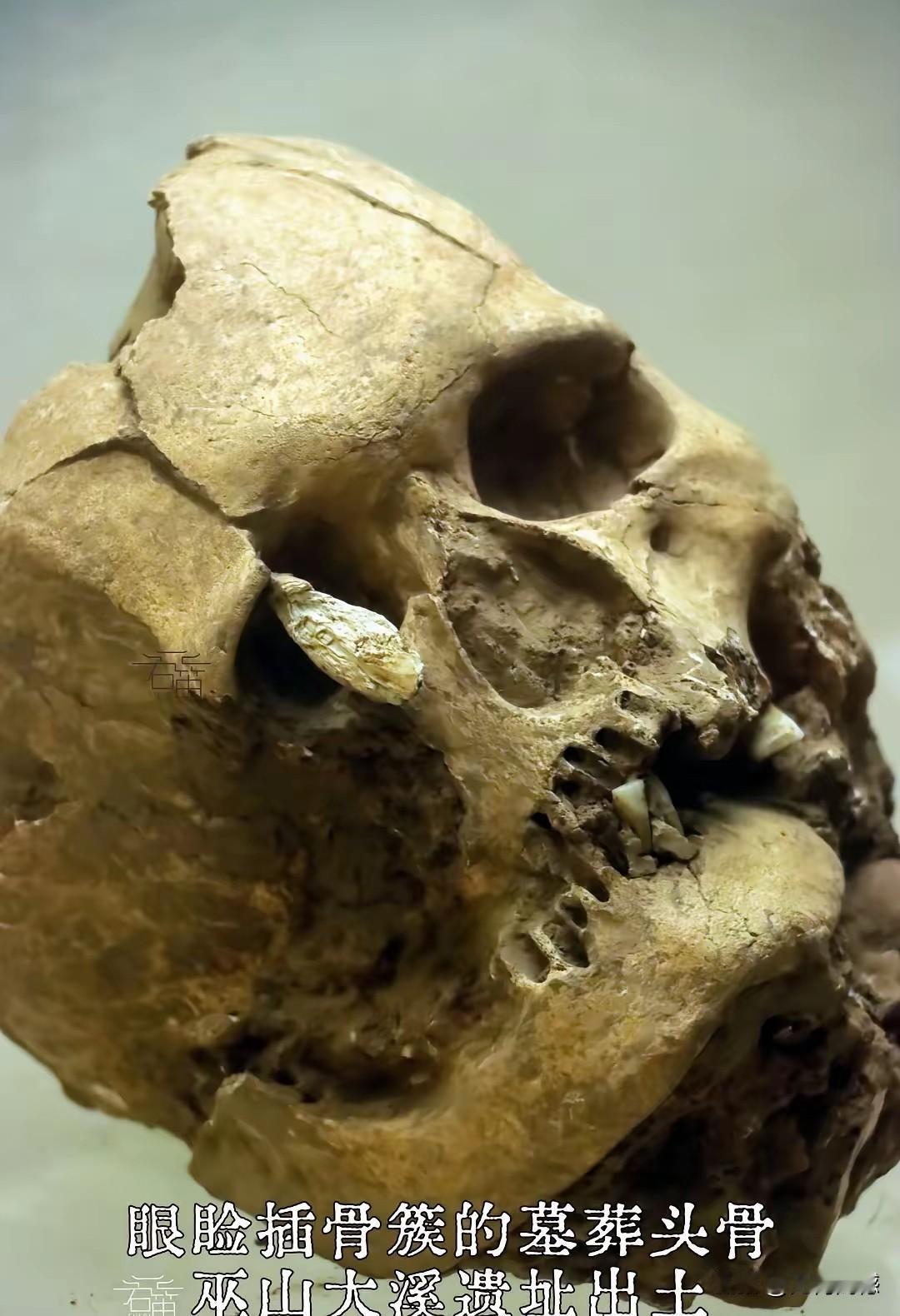 我们的古人太厉害了，在5000多年以前，就已经有弓箭了，而且杀伤力是很大的，当时