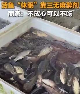 3月23日央媒报道，中国多地水产市场为方便运输，违规使用含剧毒甲醇的工业酒精及未