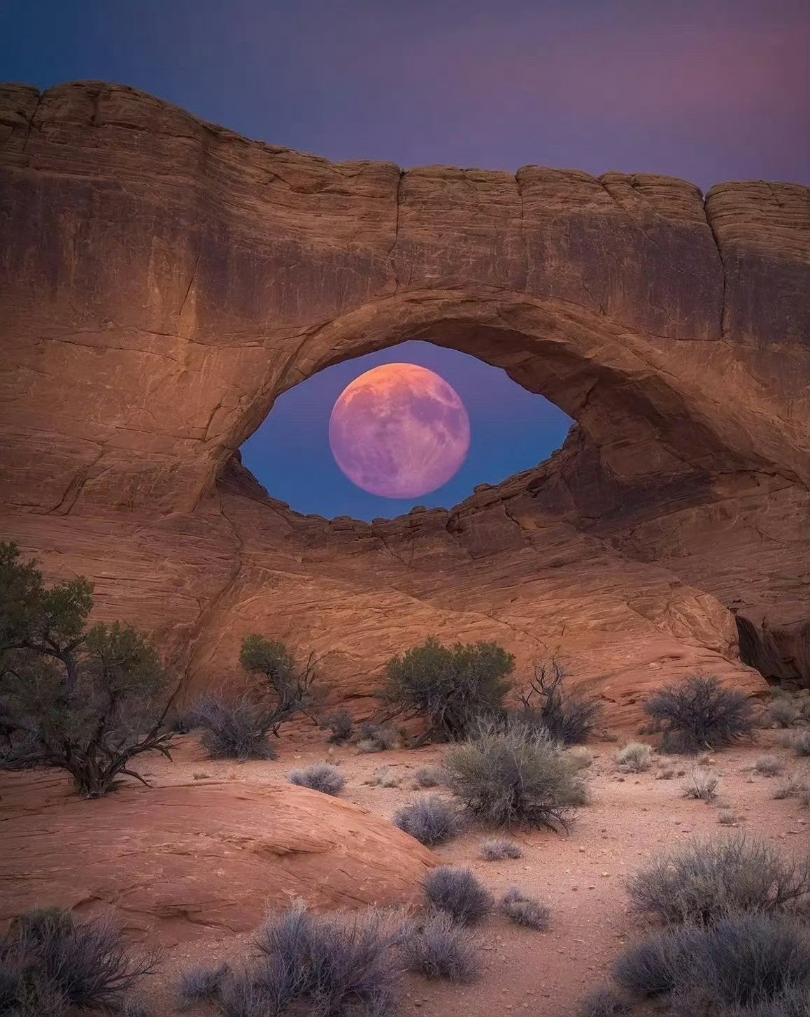 地球之眼👁️​​​