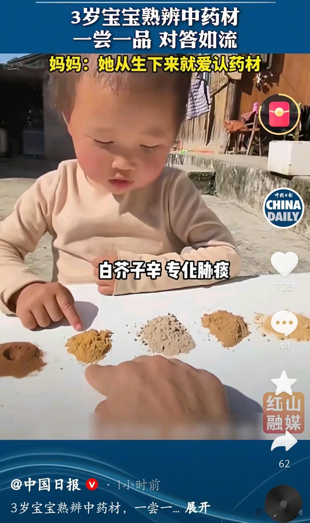 冬日生活打卡季上了中国日报的小女孩厉害啊！才3岁就能熟辨中药材，捏一捏、尝一尝就
