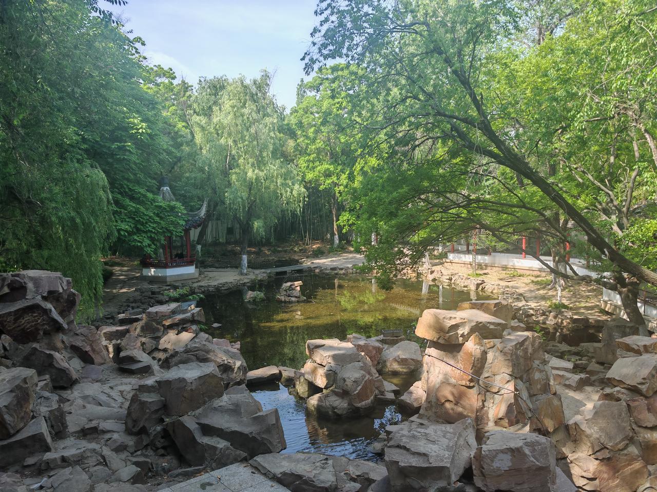 绿树成荫的地方简直是人间宝藏！就拿我家附近的公园来说，一到夏天，那里的树木郁郁葱