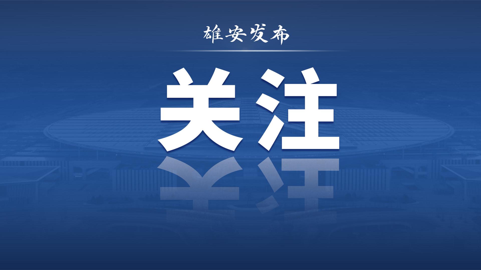 看这批扎根雄安的青年创客, 如何完成属于自己的“从0到1”