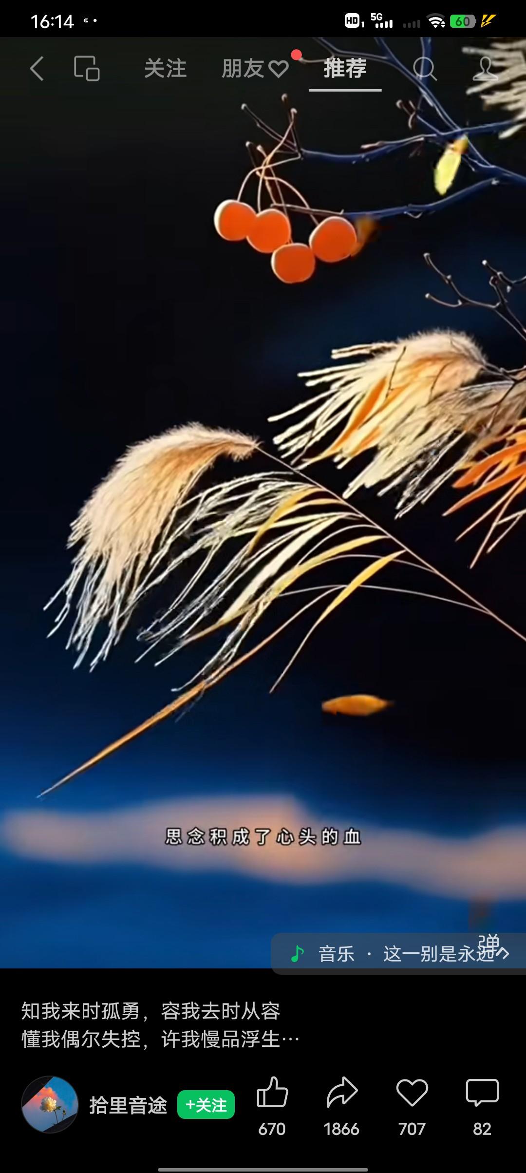 78岁的丧偶老头依然执着的要找老伴儿！你说他到底是怎么想的？老人有俩儿子，老太