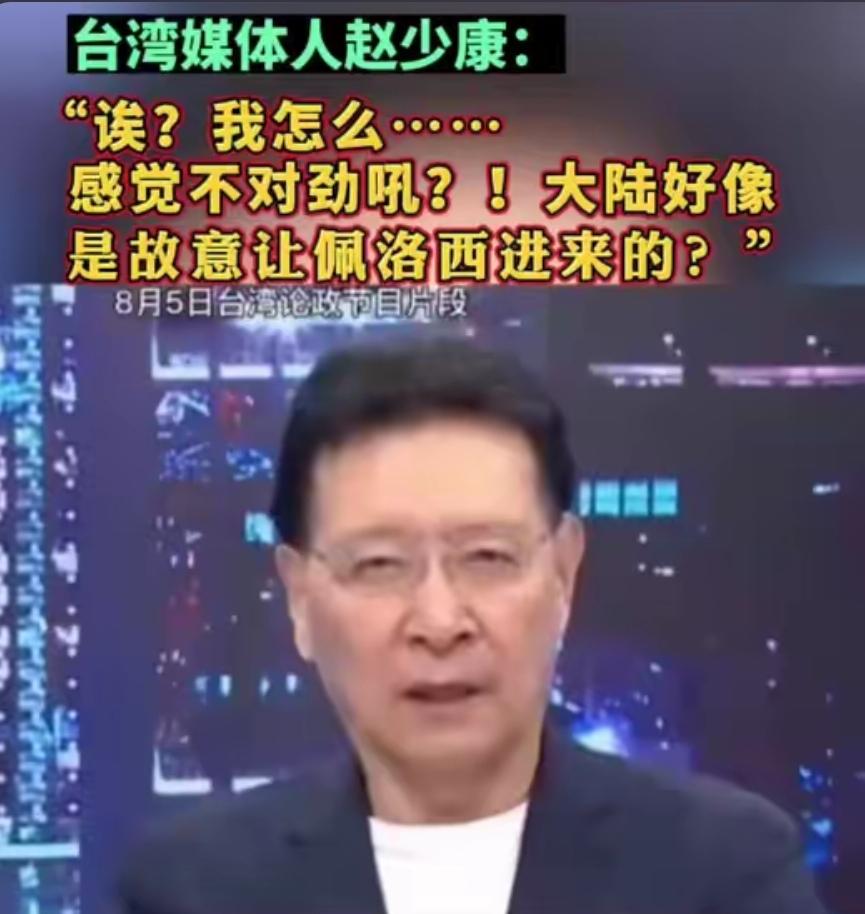 “大陆好像是故意放佩洛西进入台湾的！”很久之后，台湾知名评论员赵少康表示他