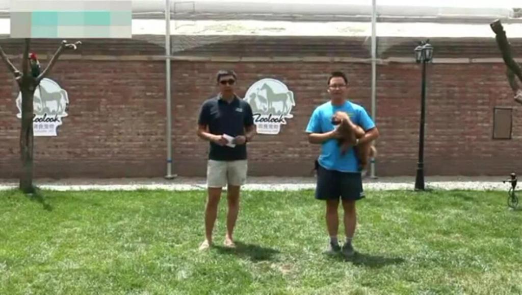 [汽修宝典]极速汽修90秒之仪表指示灯的认知_