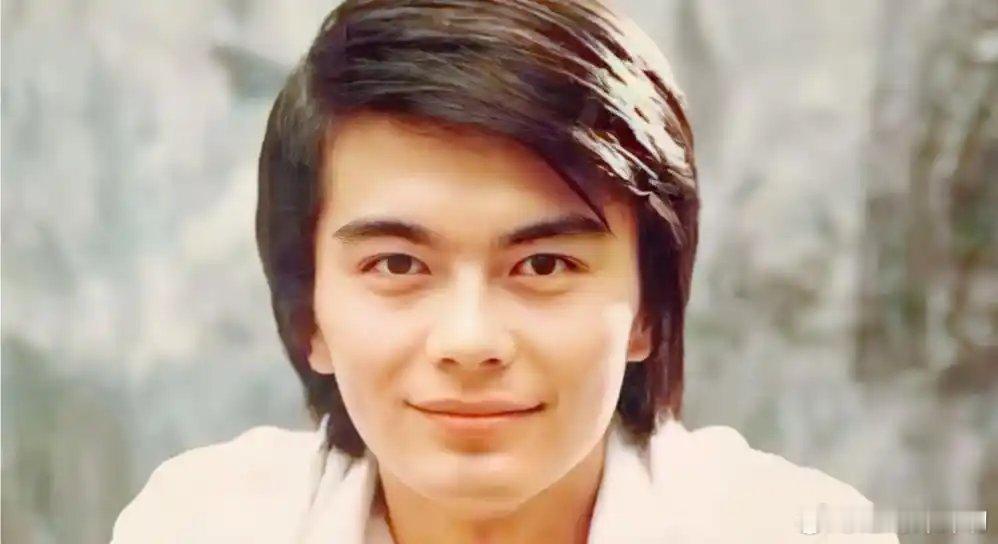 我记得在我很小的时候，内娱帅哥演员代表就是许亚军和胡亚捷，高曙光这几个人（还有谁