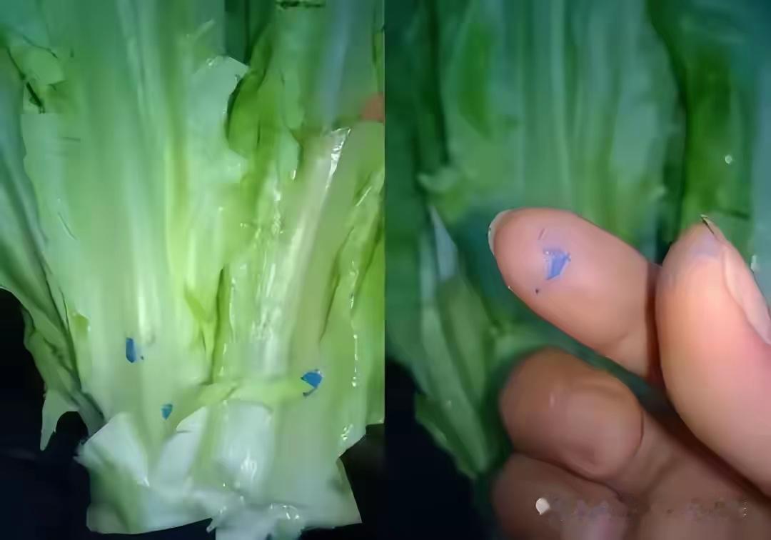 看完张家口甲醛白菜的新闻，瞬间想起之前买菜碰到的怪事。不少绿叶菜表面带着