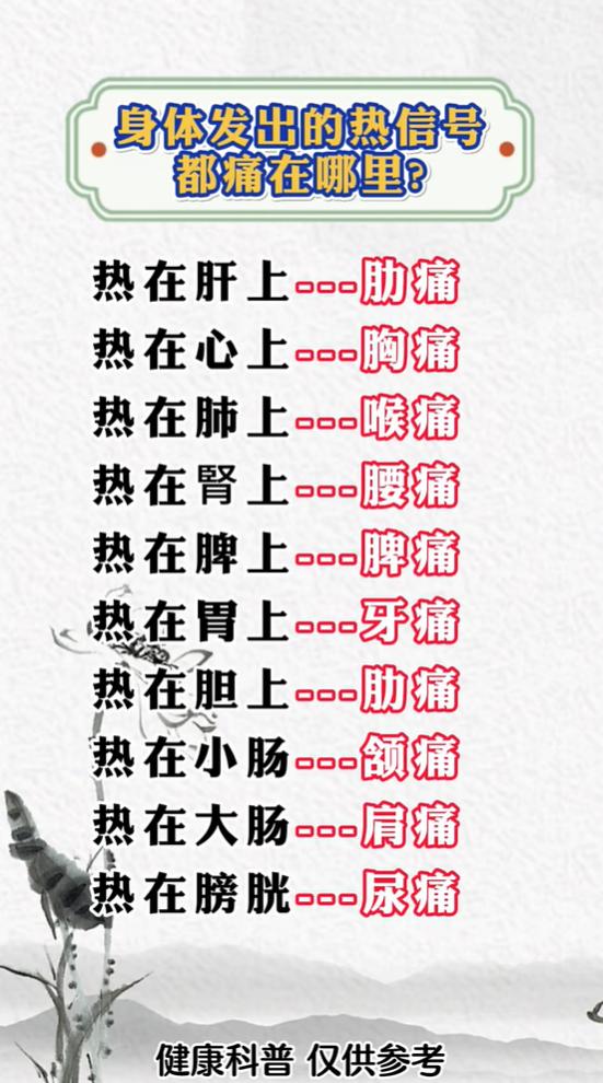体内积热辨痛法：五脏六腑有火，疼痛位置各不同