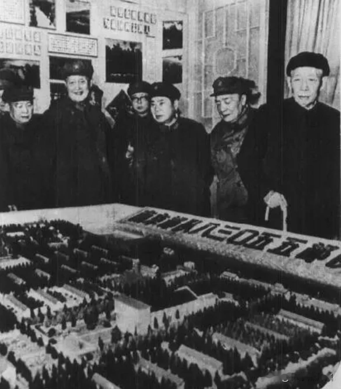 1982年冬，参观全军绿化展览的五位将军——王震、杨尚昆、杨得志、洪学智、余秋里