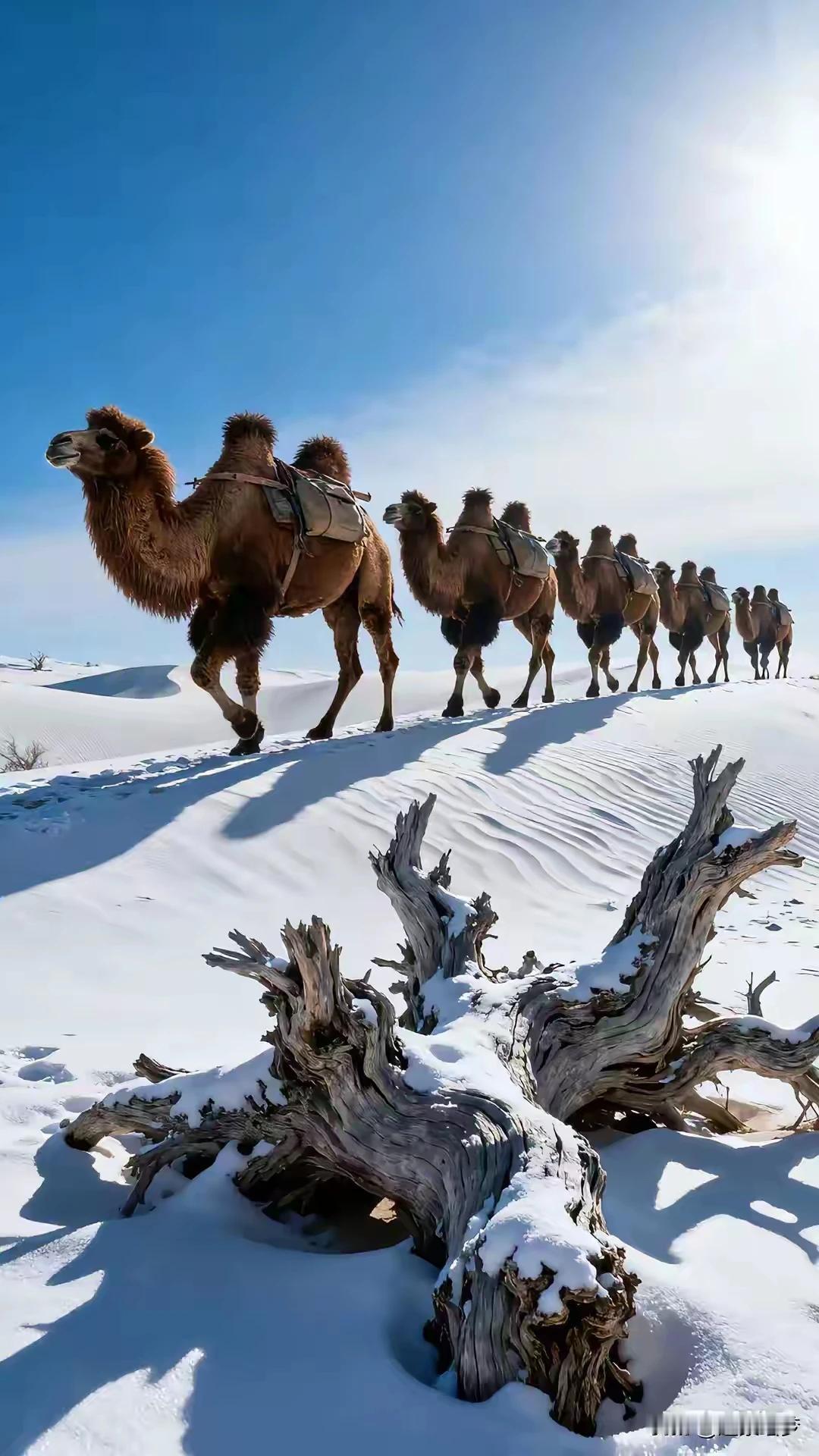 上联：沙途漫卷黄昏色下联：大漠孤烟驼一群