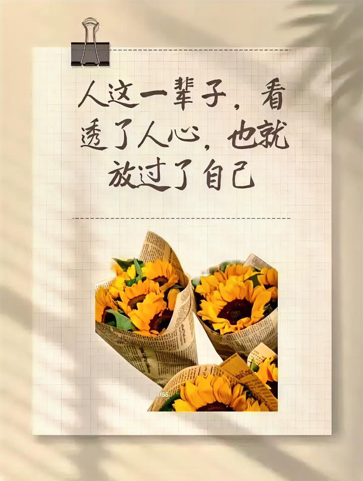 任何人的劝阻都不会让你大彻大悟真正让你如梦初醒看透人情世故的只有经历吃
