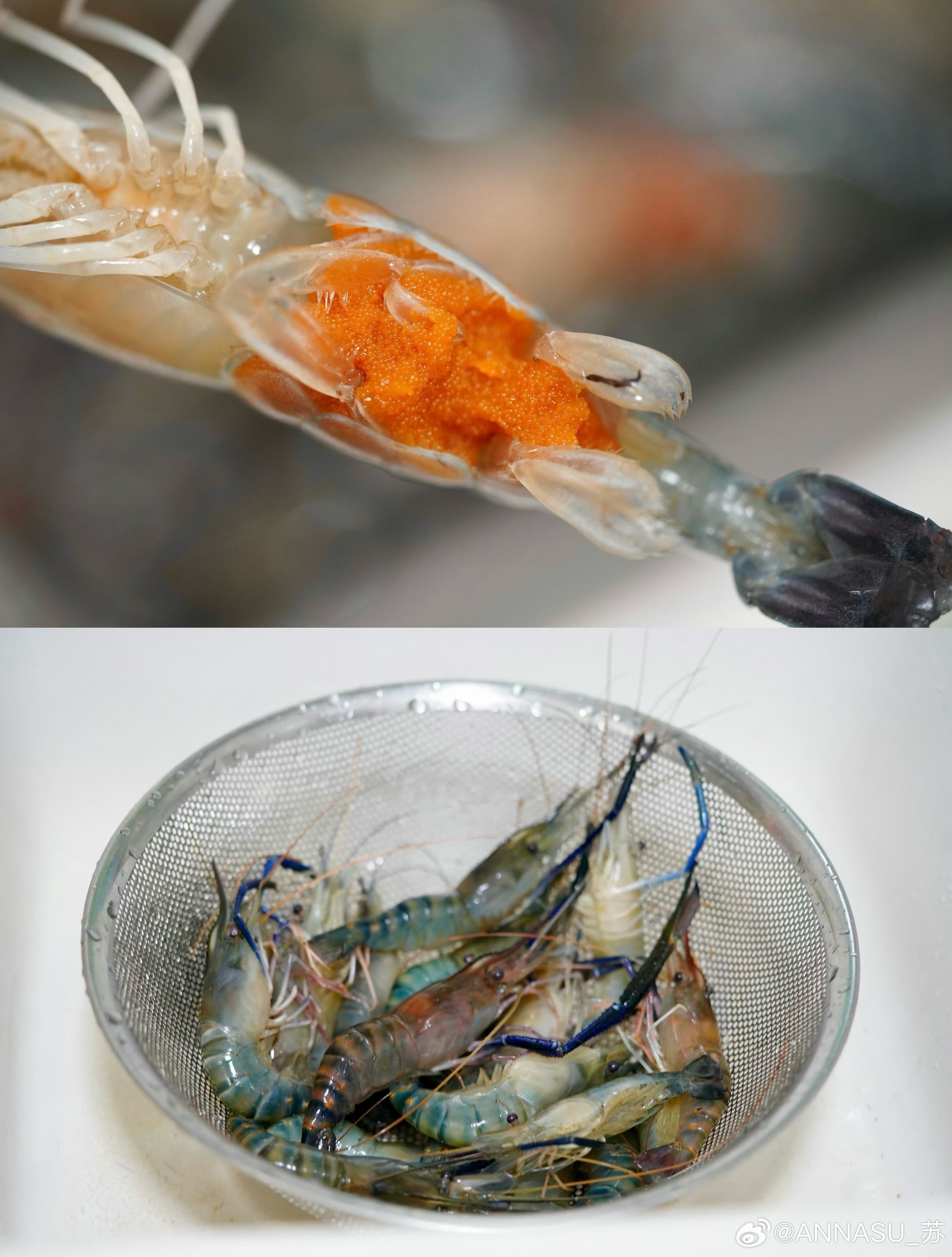 喜欢我的晚餐泰式吮指罗氏虾🦐（私房菜）广式时令黄皮烧鸡（果香四溢）沙爹土豆肉末