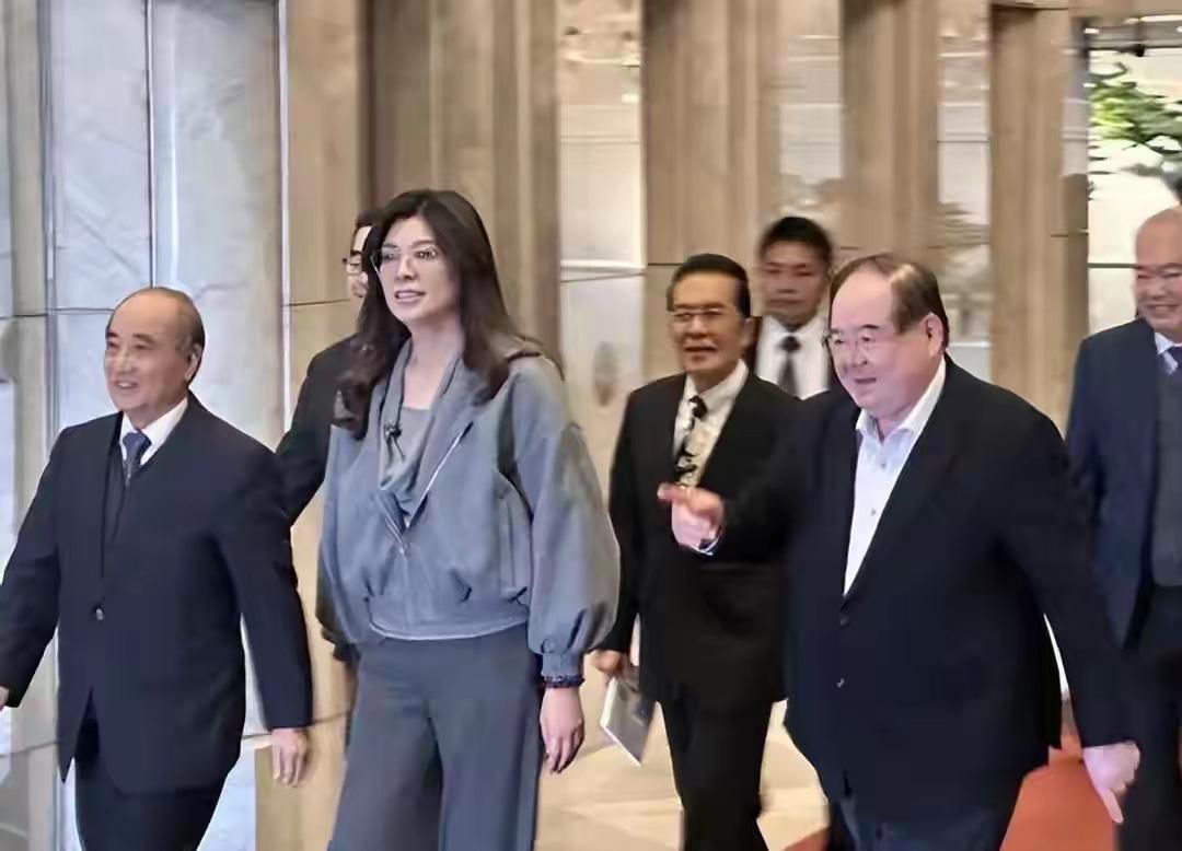 岛内政坛突转弯：国民党主席郑丽文去年底决定“上半年优先访陆，甚至锁定3月29日