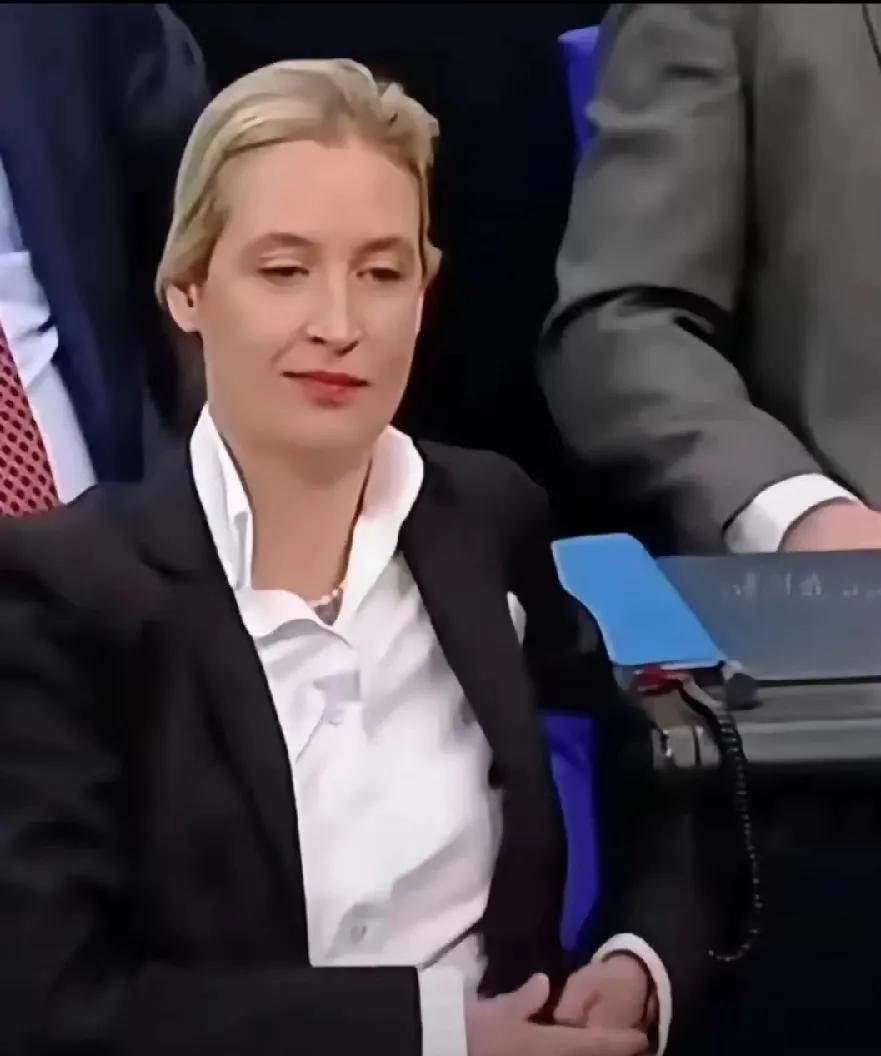 默克尔，<em>你也有今天</em>！想当年，默克尔可是霸气侧漏，直接怼魏德尔“胡说八道”几年