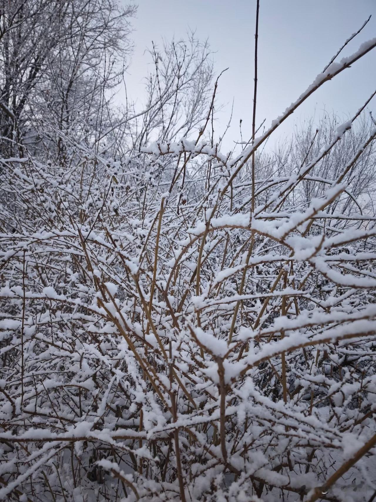 中层领导千万别当“太平官”！怕风险求安稳，其实是在断自己的晋升路！有没有