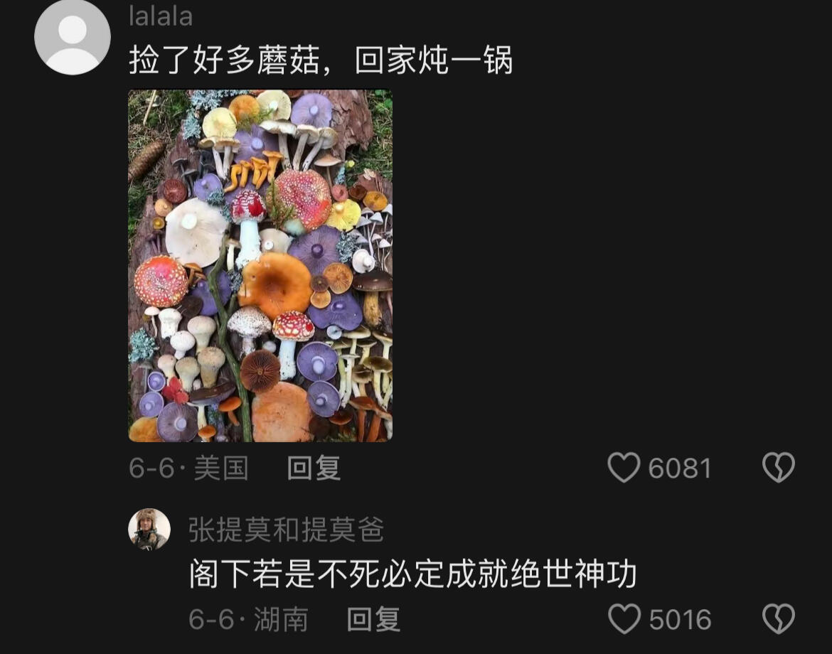 都不敢采,哈哈